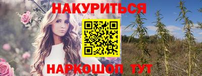 a pvp Гусь-Хрустальный